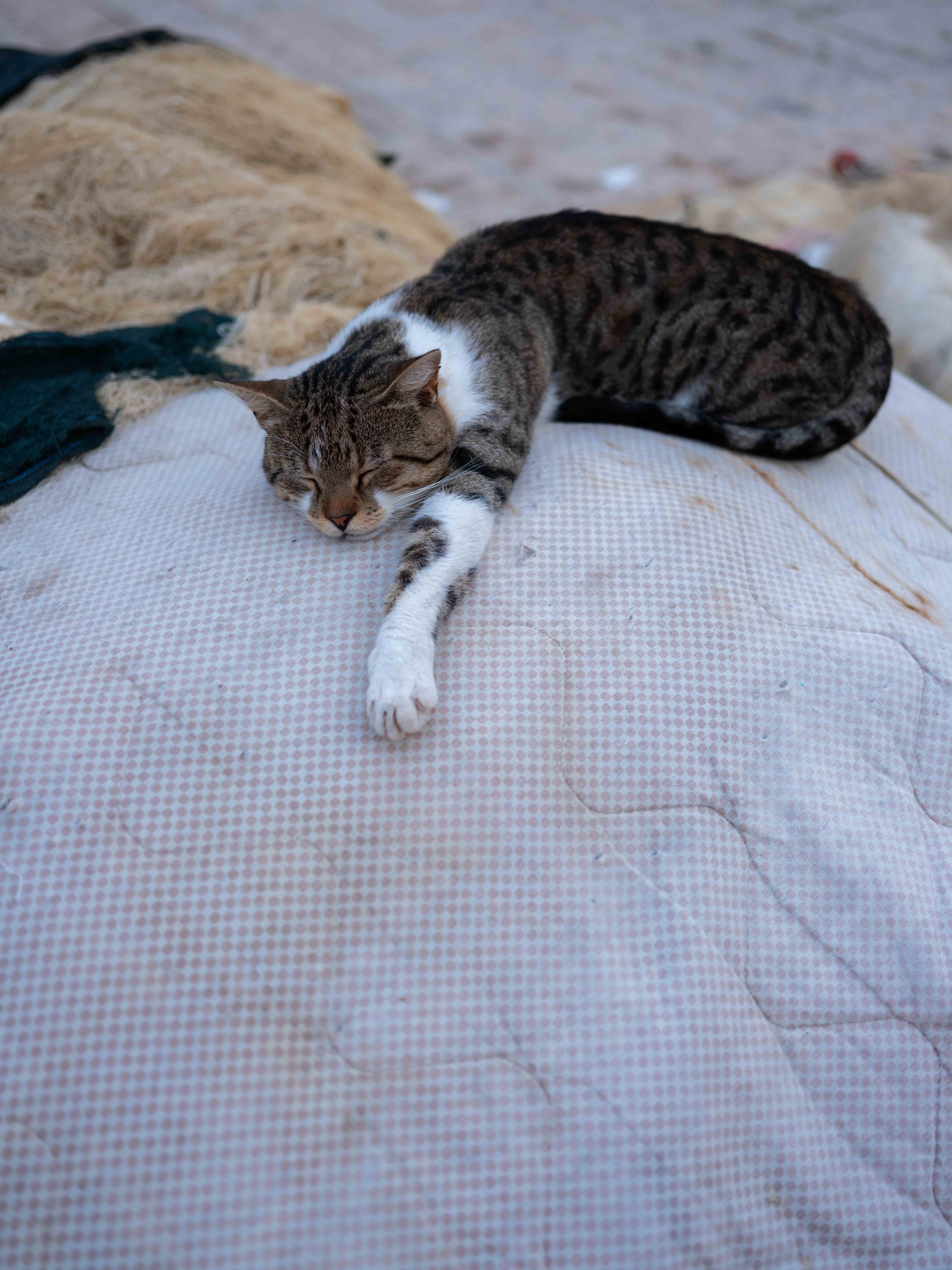 Photos from travel in Sicily, Fall 2024. Taormina, Noto, Palermo.